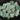 Amazonite Rough (Per pound)
