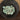 Amazonite Rough (Per pound)